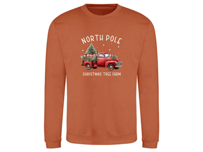 Weihnachtspullover | Erwachsene